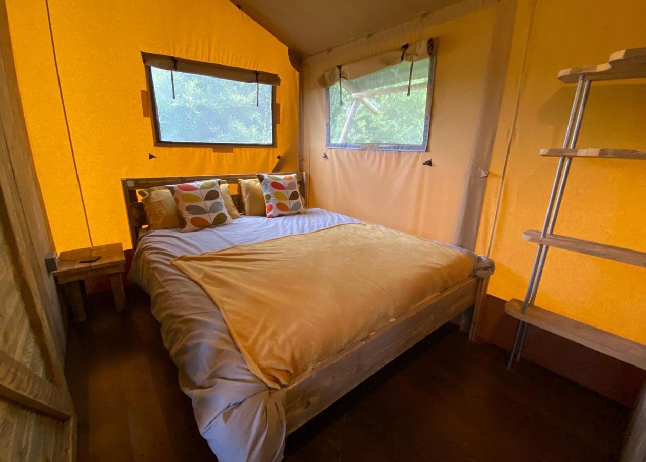 Florence Springs Glamping Gumfreston Kültér fotó