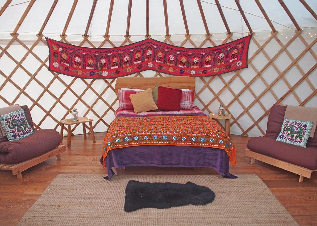Florence Springs Glamping Gumfreston Kültér fotó